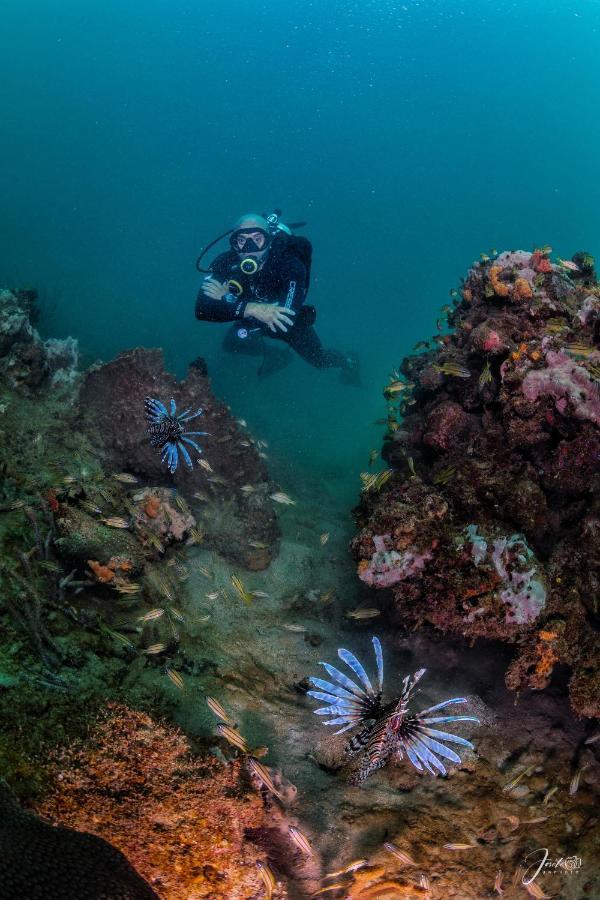 Divanga Hostel And Diving Taganga Exterior photo